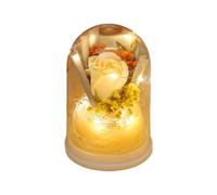 Fiori eterni - Decorazione Floreale conservata in ABS, visualizzazione di Fiori a Lunga Durata, Ornamento Romantico per la casa, Regalo Elegante per San, Festa della Mamma, Compleanno