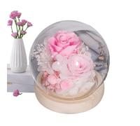 Fiori eterni sotto cupola in vetro, decorazioni floreali romantiche, perfette da regalare a ragazze, mogli o amici, centro tavolo unico per vacanze e celebrazioni.