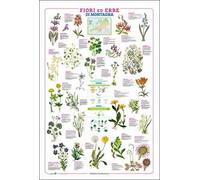 Fiori. Geoposter