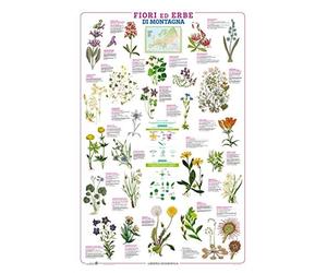 Fiori. Geoposter - AA.VV.