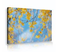 Fiori gialli cielo blu tela arte della parete natura paesaggio immagini opere d'arte stampe moderna botanica poster pittura per la decorazione della camera degli ospiti 70x110cm telaio interno