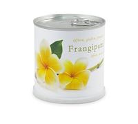 Fiori in scatola Frangipani - Plumier di macfl owers