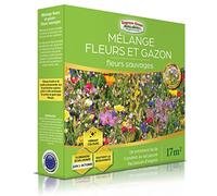 Fiori misti per api (17M2) - Prato Giapponese (Fiori selvatici)