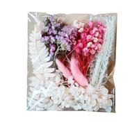 Fiori Pressati - Kit Floreale Secco | Set Di Foglie Naturali | Vero Fiori Secchi Colorati Per Artigianato Forniture Decorative Botaniche Decorative Materiali Artistici Fatti A Mano Per Le
