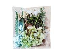 Fiori Pressati - Kit Floreale Secco | Set Di Foglie Naturali | Vero Fiori Secchi Colorati Per Artigianato Forniture Decorative Botaniche Decorative Materiali Artistici Fatti A Mano Per Le