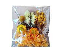 Fiori Pressati - Kit Floreale Secco | Set Di Foglie Naturali | Vero Fiori Secchi Colorati Per Artigianato Forniture Decorative Botaniche Decorative Materiali Artistici Fatti A Mano Per Le