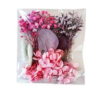 Fiori Pressati - Kit Floreale Secco | Set Di Foglie Naturali | Vero Fiori Secchi Colorati Per Artigianato Forniture Decorative Botaniche Decorative Materiali Artistici Fatti A Mano Per Le