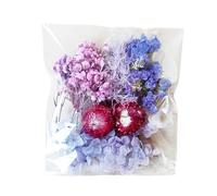 Fiori Pressati - Kit Floreale Secco | Set Di Foglie Naturali | Vero Fiori Secchi Colorati Per Artigianato Forniture Decorative Botaniche Decorative Materiali Artistici Fatti A Mano Per Le