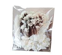 Fiori Pressati - Kit Floreale Secco | Set Di Foglie Naturali | Vero Fiori Secchi Colorati Per Artigianato Forniture Decorative Botaniche Decorative Materiali Artistici Fatti A Mano Per Le