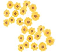 Fiori Pressati Margherita Gialla 24 Pezzi per Artigianato DIY