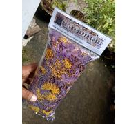 Fiori puri naturali essiccati Blue Lotus Nymphaea caerulea 100% biologici 120 g