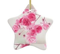 Fiori rosa che stampano ornamenti dell'annata per il Natale, progettazione della stella di ceramica con la corda appesa, ornamento della stella del verso della Bibbia