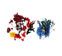 Fiori Secchi Colorati, Decorazione Multifunzionale in 2 Box per Nail Art, Resina e Gioielli - Idee Regalo Creative, Accessori per Artigianato e Decorazioni Festive