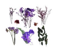 Fiori secchi con , fiori di campo secchi conservati con , accessori per la casa per tavolo da pranzo, torta di Natale, autunno, mercatino nuziale, giardino dei bambini