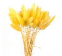 Fiori Secchi Decorativi 60 fiori secchi, erba di coda, canna pampa premium, bouquet immortale, piante decorative for feste nozze(Color-15)