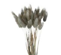 Fiori Secchi Decorativi 60 fiori secchi, erba di coda, canna pampa premium, bouquet immortale, piante decorative for feste nozze(Color-08)