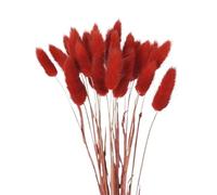 Fiori Secchi Decorativi 60 fiori secchi, erba di coda, canna pampa premium, bouquet immortale, piante decorative for feste nozze(Color-03)