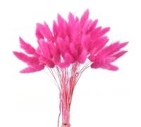 Fiori Secchi Decorativi 60 fiori secchi, erba di coda, canna pampa premium, bouquet immortale, piante decorative for feste nozze(Color-05)