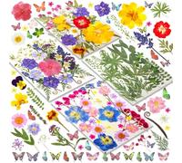 Fiori Secchi Decorativi Set di 120 pz 30 Tipi di Fiori Secchi Prensati per Decorazioni DIY Scrapbooking Resina Gioielli Fatti a Mano con Stickers Farfalle e Pinza