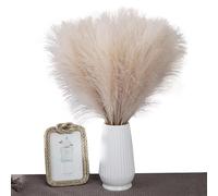 Fiori Secchi | Faux Short Artificial Pampa Grass ,Bouquet Piante Finte Piccoli Rami Di Pompass Per Decorazioni Natalizie Per La Casa Di Nozze