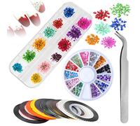 Fiori Secchi Nail Art,Mwoot Nail Art Design Set con 12 Fiori Naturali A Secco con 10 Striping Tape Nail Art e 1 Scatole Strass Decorazione Tweezer per Le Donne Nail Art Lavoro Mestieri