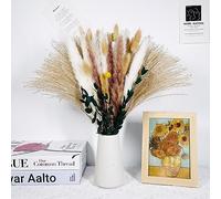 Fiori Secchi Naturali Decorativi,Erba di Pampa Essiccata Naturale,Piume Decorative,Composizione Bouquet Fiori Secchi per la Decorazione Della Casa di Fiori (65 Piezas)