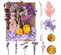 Fiori Secchi Naturali,Fiori Secchi Veri,Fiore Essiccato Pressati,Fiori Secchi Decorativi Piccoli,Fiori Secchi Artigianato per Fai da Te Resina,Candele Scrapbooking Artigianato,Decorazioni Floreali