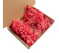 Fiori Secchi Naturali Gypsophila Essiccata, 100 Pezzi Fiori Secchi per Decorazioni, Bouquet Pressati Mini per Accessori per Inviti di Nozze, Segnalibri, Forniture per la Fabbricazione di Candele