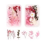 Fiori Secchi Naturali, Scatolefiore Pressati Secchi, Materiali Decorazioni Floreali per Resina, Artigianato Fai Da Te (Rosa)
