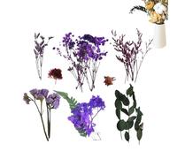 Fiori secchi per artigianato, fiori secchi naturali con , accessori per la casa per tavolo da pranzo, torta di Natale, autunno, mercatino nuziale, giardino dei bambini