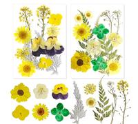 Fiori Secchi per Resina Fiori Secchi per Candele Fiori Secchi Pressati Fiori Secchi Decorativi Fiori Essiccati Decorativi Fiori Pressati Secchi per DIY Unghie Candele Decorazioni Scrapbooking