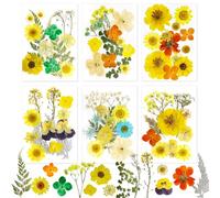 Fiori Secchi per Resina Fiori Secchi per Candele Fiori Secchi Pressati Fiori Secchi Decorativi Fiori Essiccati Decorativi Fiori Pressati Secchi per DIY Unghie Candele Decorazioni Scrapbooking