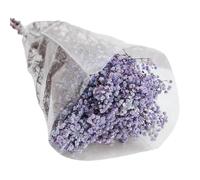 Fiori secchi per respiro del bambino Altezza 19, 7 pollici Resistente sbiadimento per la decorazione interni domestici Centrotavola per feste nozze Decorazione nozze