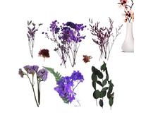 Fiori Secchi per Vaso | Composizioni Floreali Naturali Essiccate - Decorazioni Stagionali Per Matrimoni Giardini Mercatini Natale