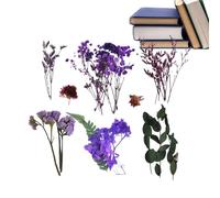 Fiori Secchi per Vaso,Fiori Selvatici Naturali Conservati - Decorazioni Stagionali Per Matrimoni Giardini Mercatini Natale