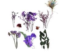 Fiori Secchi Reali | Fiori Selvatici Essiccati Conservati Con - Decorazioni Stagionali Per Matrimoni Giardini Mercatini Natale