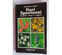 Fiori spontanei di prati, campi e vigneti
