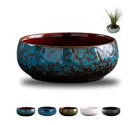 Fioriera a forma di loto, ciotola in ceramica per fiori di loto, ciotole retrò per piantare in acqua all'interno, vasi di loto per piante acquatiche, applicabile a piante grasse idroponiche (blu)