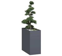 vidaXL Fioriera Antracite 40x80x80 cm in Acciaio, Vaso per Piante, Supporto per Piante, Letto rialzato, Supporto per fioriera, Vassoio per Piante