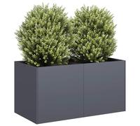 Fioriera Antracite 80x40x40 cm in Acciaio Laminato a Freddo for Garden Balcony Patio, Durable Steel Raised Planter Box with Open Bottom Design, Large Planting Space for Herbs Flowers Plants