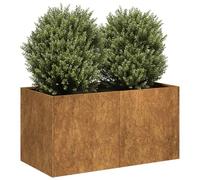 Fioriera Arrugginita 80x40x40 cm in Acciaio Corten (7,1KG)