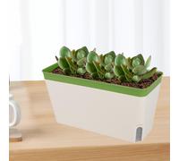 Fioriera autoirrigante Vaso per piante Prato per ufficio Piante per interni