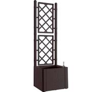 Fioriera con Grigliato Natural Deluxe Stefanplast 43 x 43 cm 142 cm
