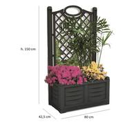 FIORIERA SEPARE' CON SPALLIERA 80 X 42,5 X H150 CM BIANCO