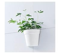 Fioriera da Appendere Pantaloni da giardino a parete impianti a muro Pentola di plastica Pentola di plastica verticale pianta verticale for ufficio all'aperto for ufficio balcone 2 confezioni Porta Va
