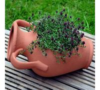 Fioriera da giardino,anfora di terracotta con apertura laterale