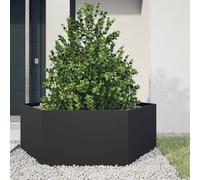 vidaXL Fioriera da Giardino Nera Esagono 138x120x45 cm in Acciaio