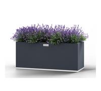 Fioriera da Giardino RETTANGOLARE Dimensioni 120x40x h 50- 300 lt - 22,5 KG in acciaio Zincato inalterabile nel tempo cm colore grigio grigio