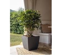 Fioriera - DIVA BASALT - Grigio antracite - Quadrata - 42 L - 43,5 x 43,5 x H.44,2 cm - EDA - Scatola interna estraibile