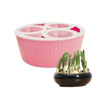 Fioriera , in polipropilene resistente, 15 x 7 cm, contenitore per piantare 3 fori, vaso da giardino per bulbi di narciso, giacinto senza suolo, per giardinieri, appartamenti, uffici